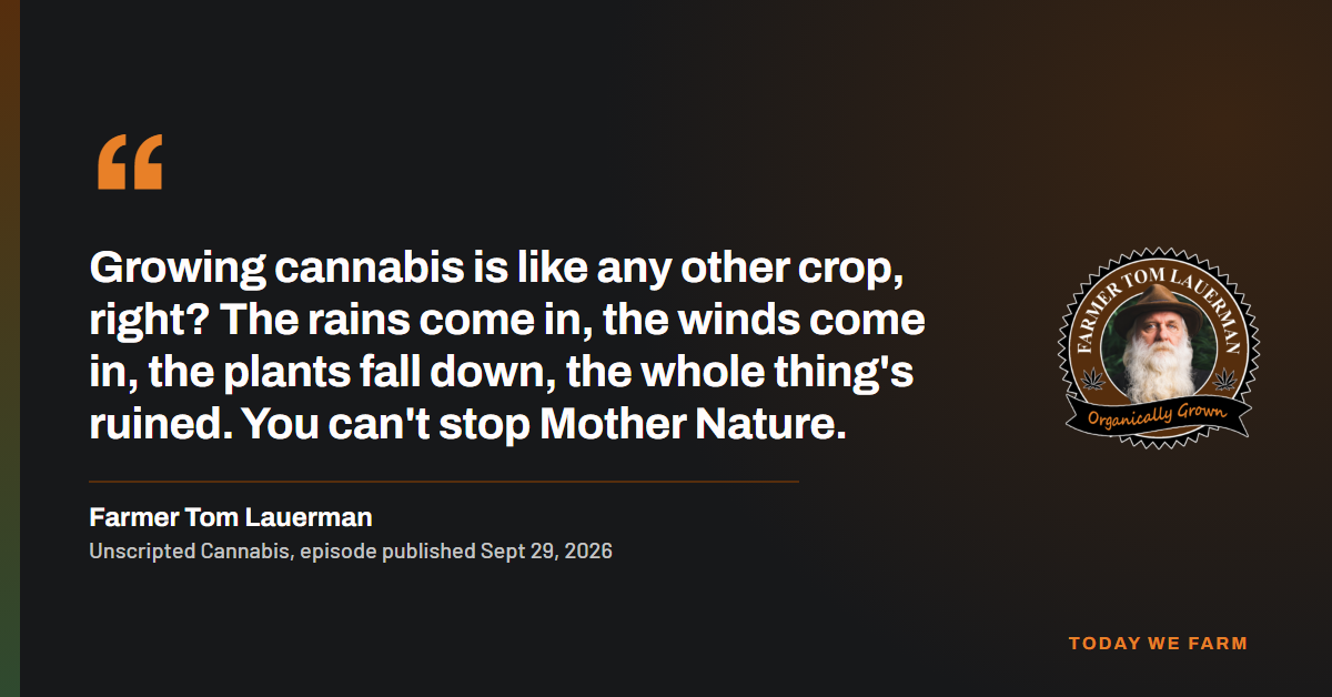 Quote card: "Growing cannabis is like any other crop, right? The rains come in, the winds come in, the plants fall down, the whole thing's ruined. You can't stop Mother Nature." Farmer Tom Lauerman, Unscripted Cannabis, 2026.